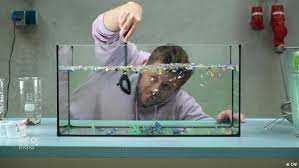 गंदे पानी से माइक्रोप्लास्टिक निकालने में सब्जियां आएंगी काम